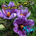 مانتره سپند یا مهر اسپند مانتره سپند یا مهر اسپند