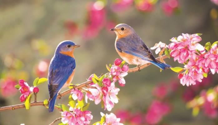 آخرین روز فصل بهار